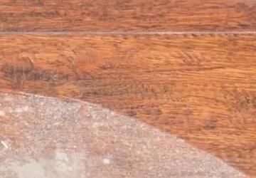 家里灰塵的主要來源有哪些方面呢？