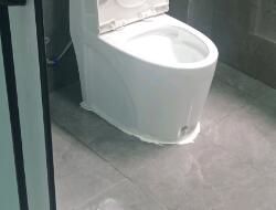 衛(wèi)生間有異味，有什么去除小技巧呢？